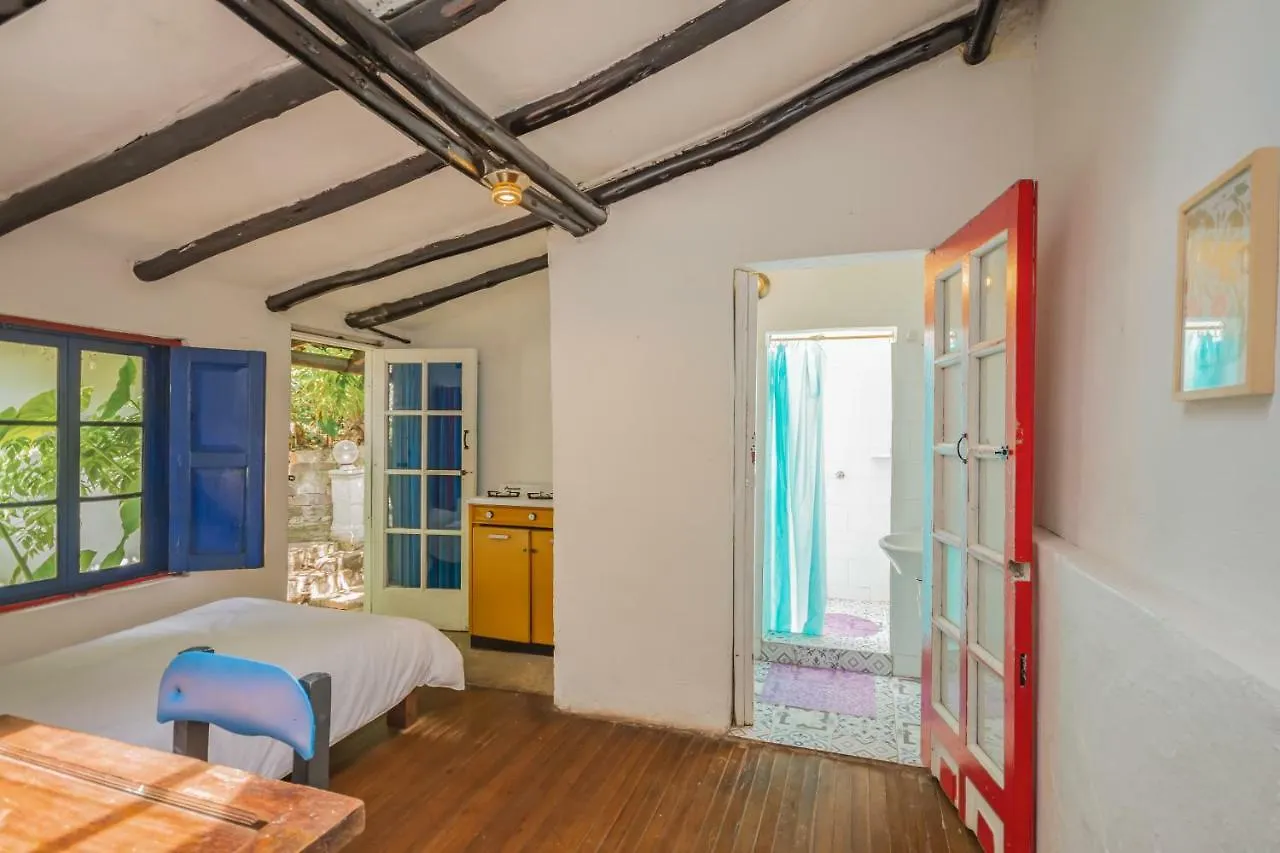 Botanico Hostel Bogota Colombia